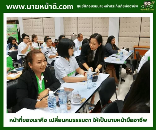 นายหน้าประกันภัยมืออาชีพ